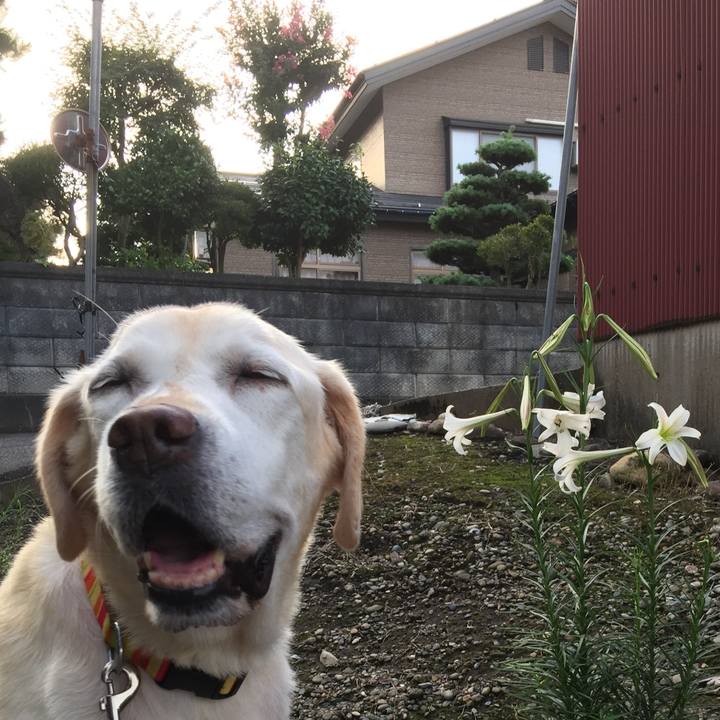 Db099c37 a911 45db 8f98 d6cab94d1ab9 1553157060482