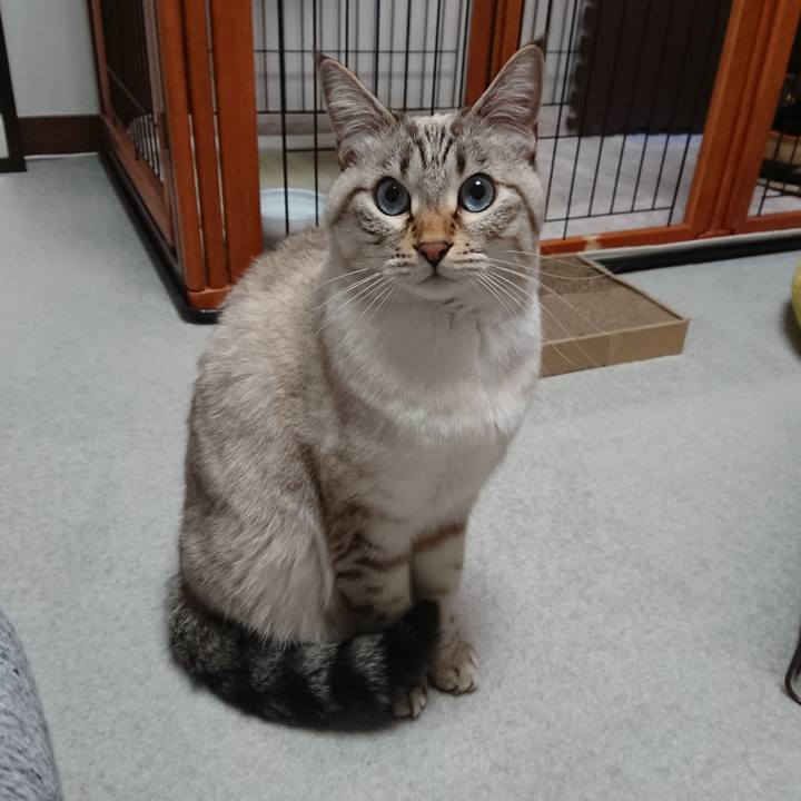 Db09addf d1d7 49a7 aa7c 363b0c07676c 1577982251196