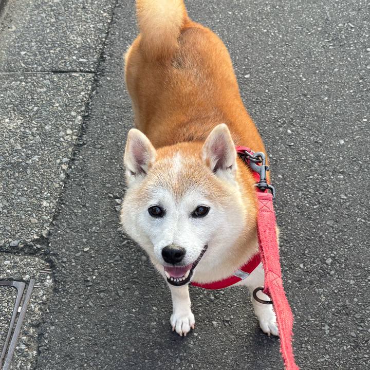 Db09b546 6845 4f68 a01d 55989c542455 1755561561168