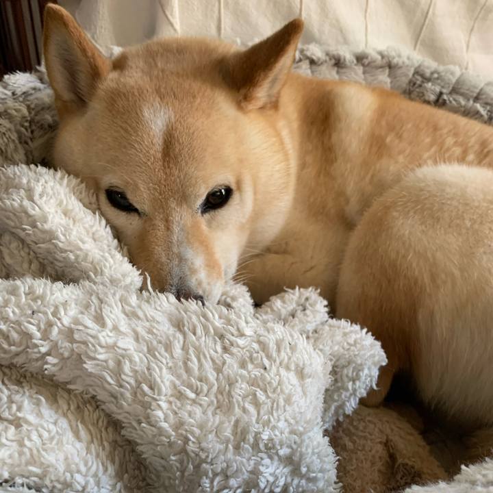 Db09b905 b7a2 4585 9ab8 50429967bf89 1654212045585