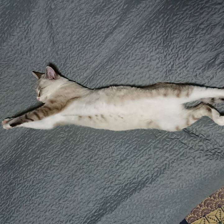 Db09c252 6165 468f b5d7 a9338fa1f9a3 1538230779382