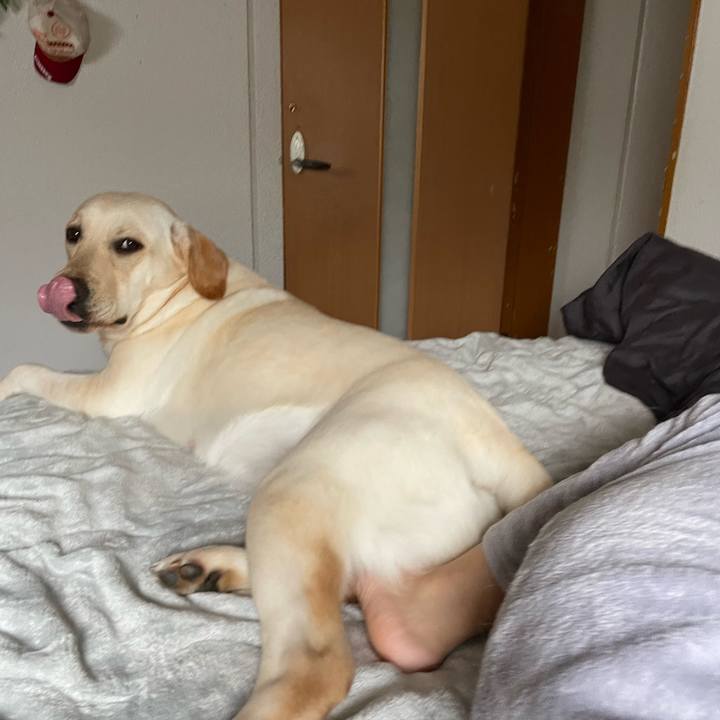 Db09c743 6453 4b86 9f78 ba9c60723091 1651015917815