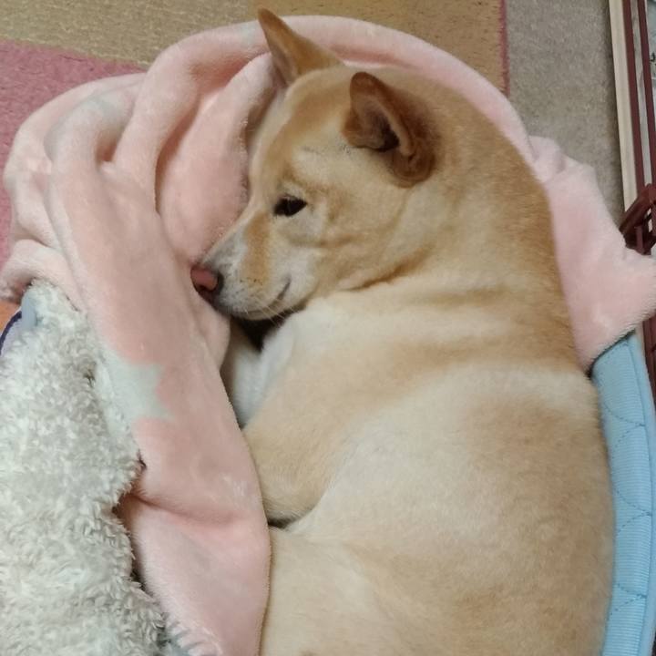 Db0a301a a60d 4cfe bc61 07f1198755bb 1577189501124