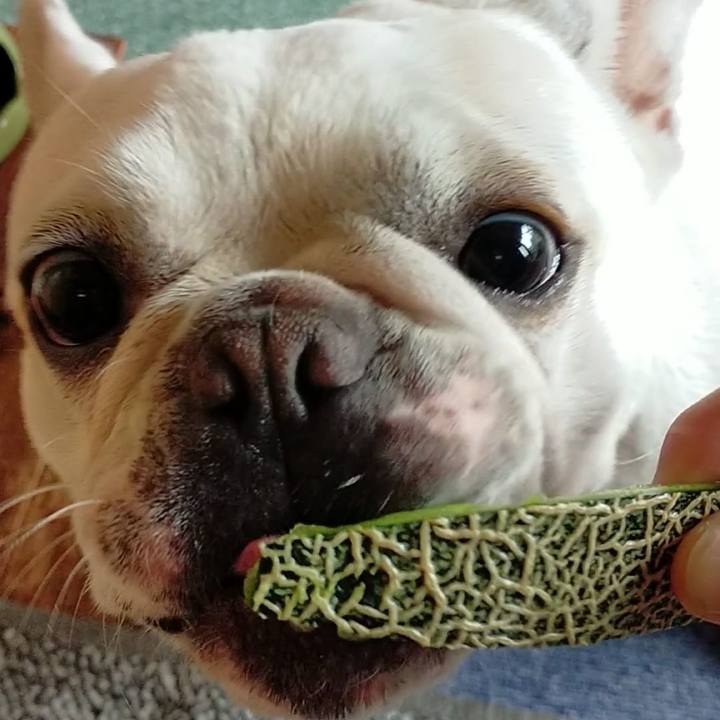 Db0a3dde 9c71 4137 81ce bab7dfb45287 1654902261307