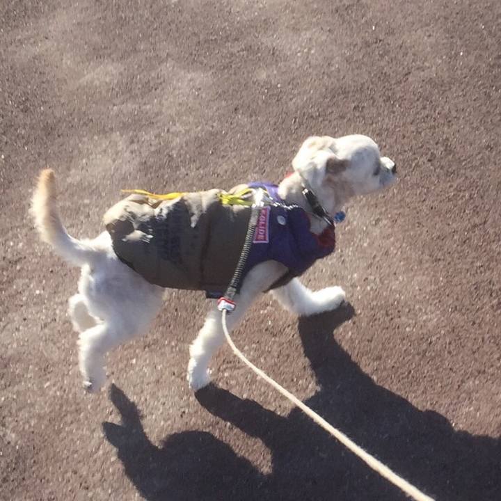 Db0a4a56 36d0 4638 985f 62d626a9b681 1513576326301