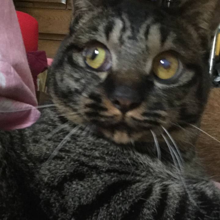 Db0a589f feb7 4745 a85e 5ce27697bc10 1587682595430