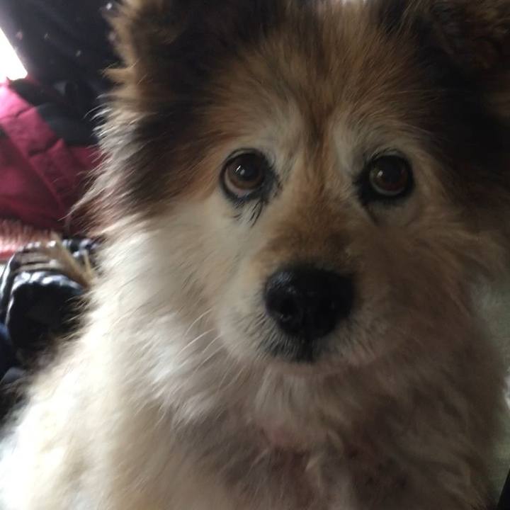 Db0a5bdd 88af 458d 82a7 3ace88f24151 1619564884962