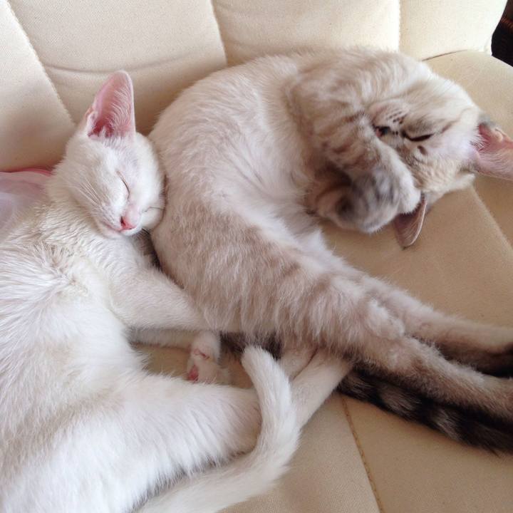 Db0ae591 c402 4cba 855b e44c78d73133 1573323185267