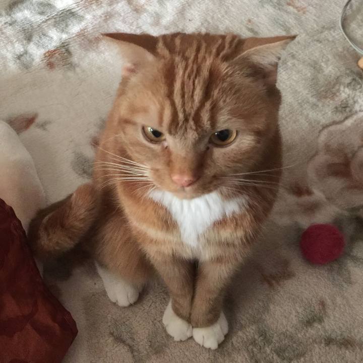 Db0af3d2 ffc5 4bea 997f 5a9d4e48a1ca 1553817921603