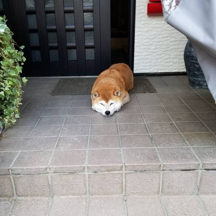 Db0b0e9a f3a1 49d7 bc0e c307f125f3d6 1571440191807