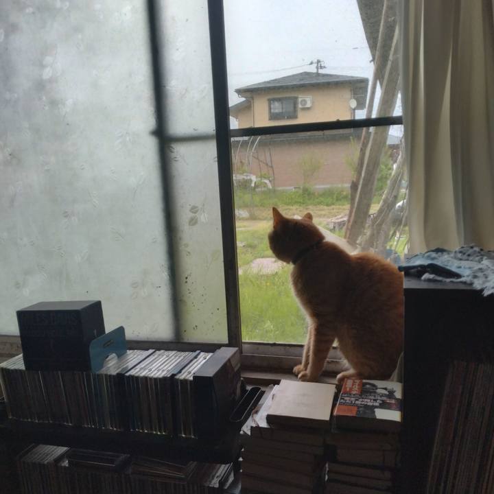 Db0b3312 3bab 436b adcb 6ed032142646 1747901687121