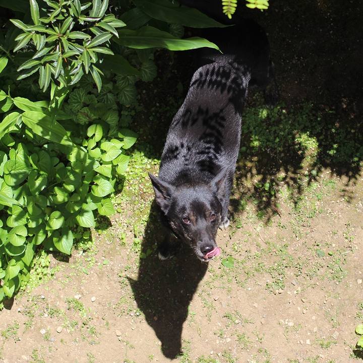 Db0b7088 ef61 4667 bac1 bf0eec6986b3 1528811106815