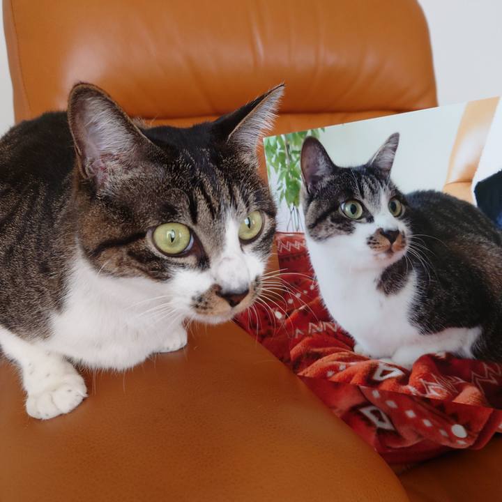 Db0b99bc 119f 4be7 b255 ab33cf5e582c 1768360024749