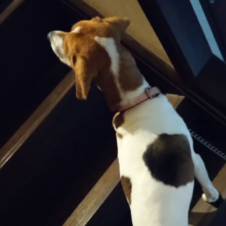 Db0ba6ad 2f8a 490d bb82 e4f4087ae908 1581519089913