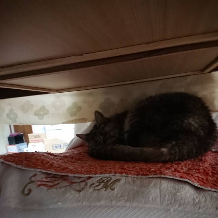 Db0bcad3 c47f 46e2 9699 4fe9a6fc2b13 1571008444385