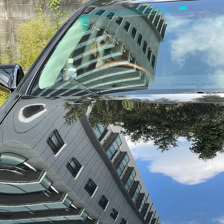 Db0bd9ef 5f51 4bbe 869d 2c77361bb91b 1635411497581