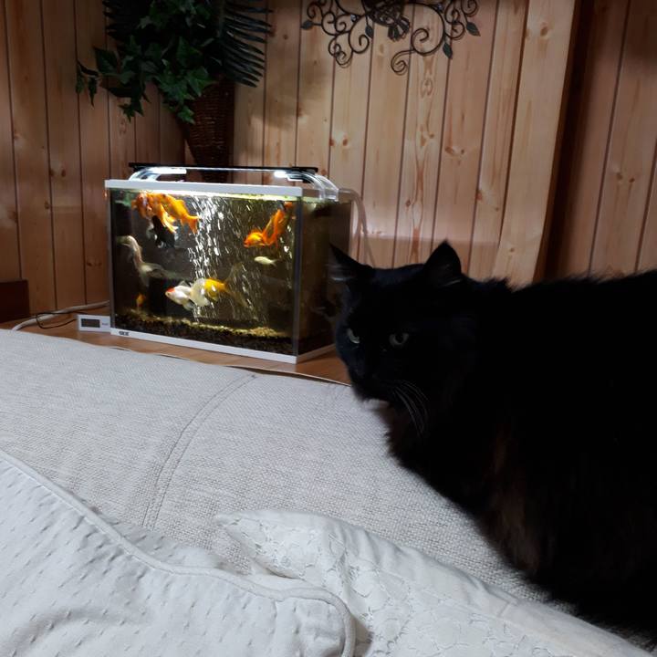 Db0c1740 1900 429a afa3 b2a780e0f29f 1516909920800