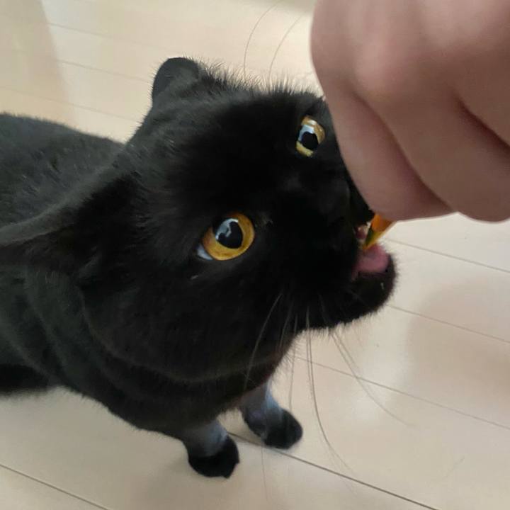 Db0c1fff fc59 4ec8 b3fe b1f964120b1b 1681698563172