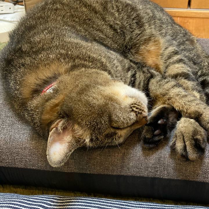 Db0c2ac9 0b9a 41b7 a4c6 8eb058ae9ce0 1650529105223