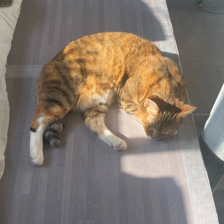 Db0c56c1 851d 4cdc b9af 7959edd1c523 1639534801667