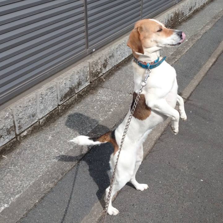 Db0c5e5a c680 47a9 8f58 993036ae151c 1615015864375