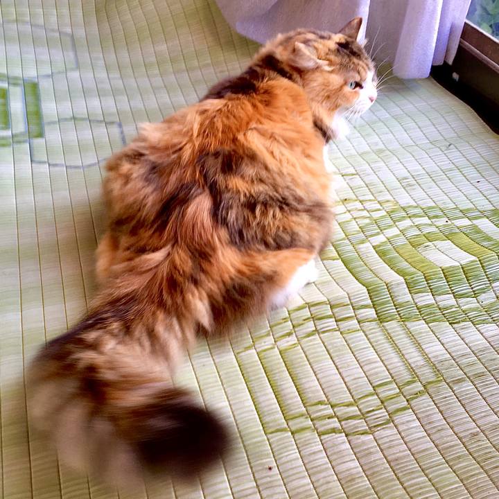 Db0cb2af 3280 4a3b ba63 08fd7e2a19a3 1577955122170