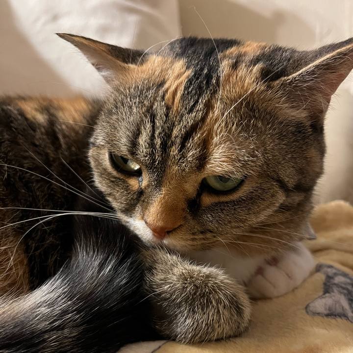 Db0ce834 618b 4206 9669 64e44a927a24 1776862672495