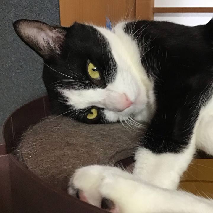 Db0cf36c 36f3 4233 abe7 03caa6e92bda 1756967921304