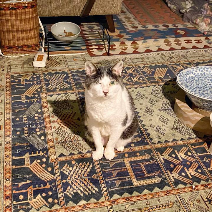 Db0d061e df02 4362 841b 83bd4f6dd533 1609941784897