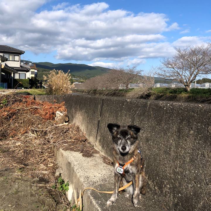 Db0d1dba 6de9 4955 b778 af57257bacdb 1670421186669