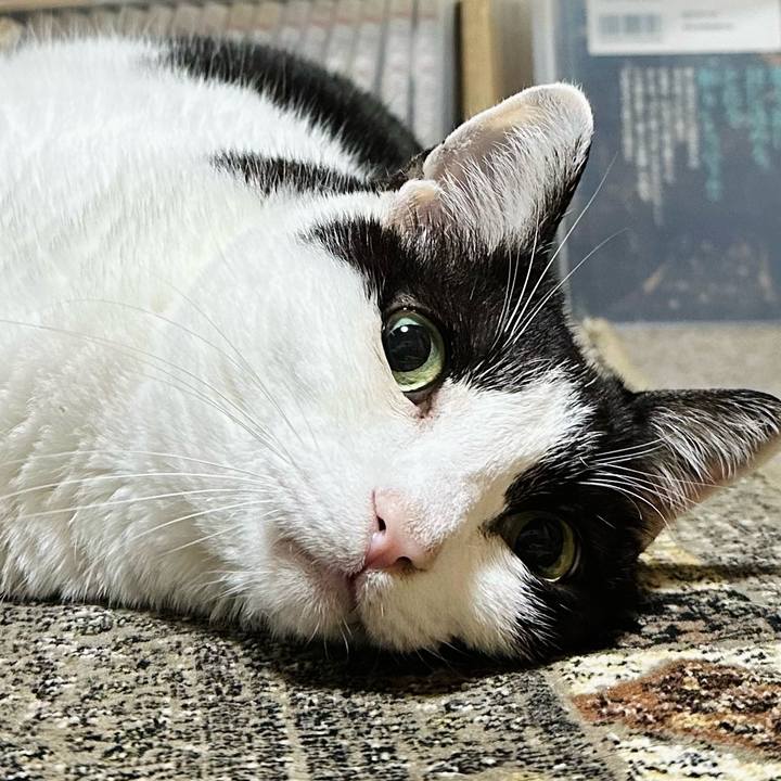 Db0d2ba7 0396 4117 be32 7cb014f5f96a 1715651733116