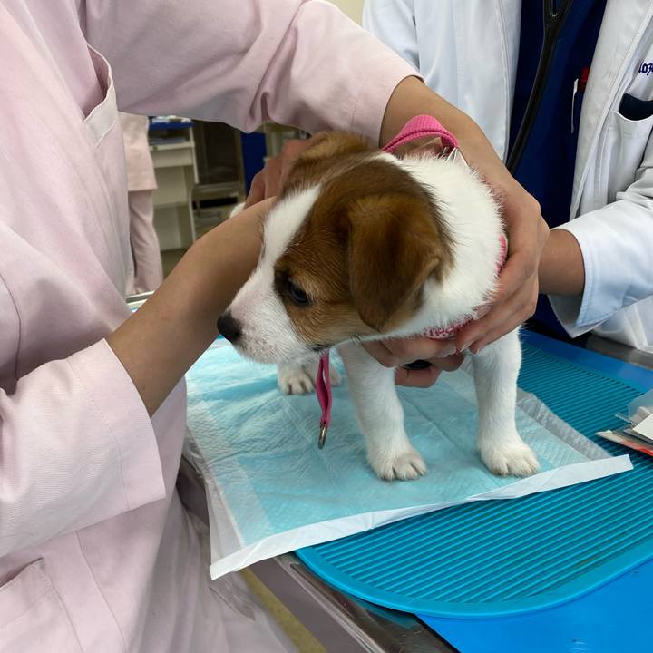 Db0d3193 7b45 4c5b b6e1 f0389798ed97 1610680100363