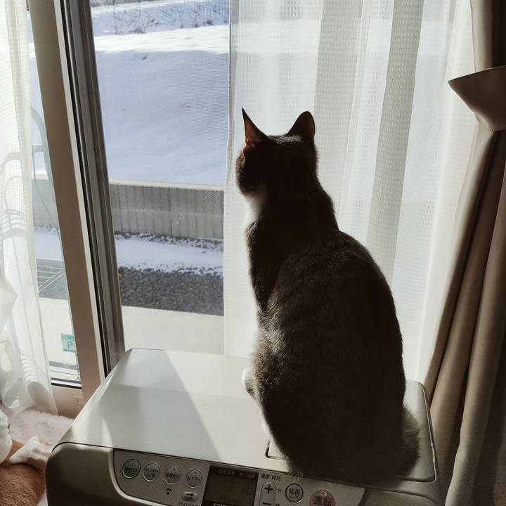 Db0d534b 7238 4121 b62a 4703831305b9 1642229805056