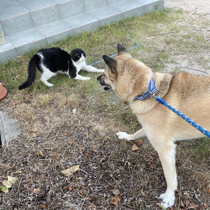 Db0d84fc b1d9 421f 8013 20d767c5b723 1654263066890