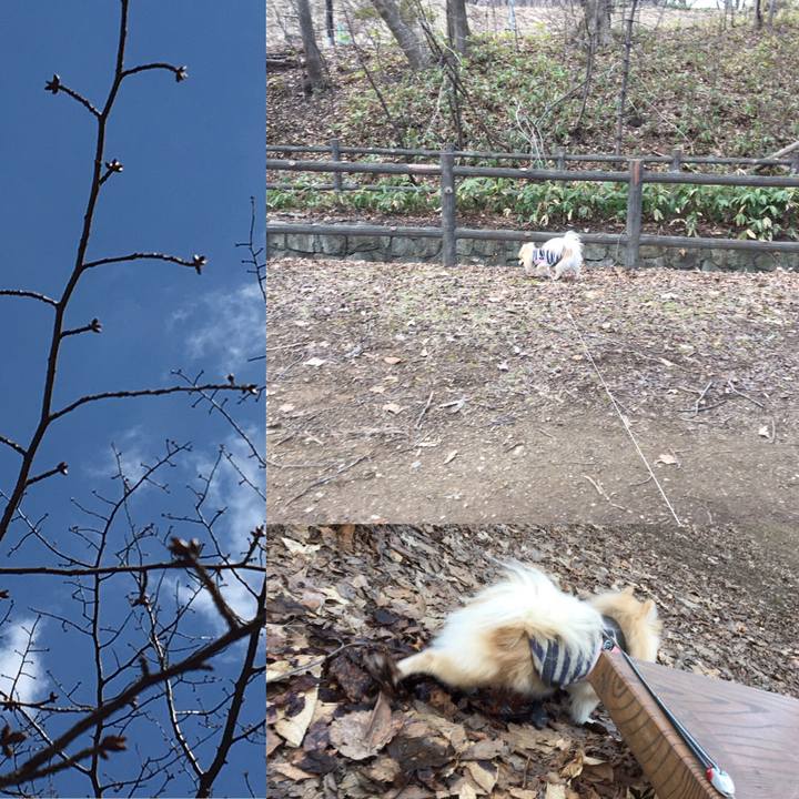 Db0dafc9 e749 4541 afc3 8782cfd5b477 1554888557001