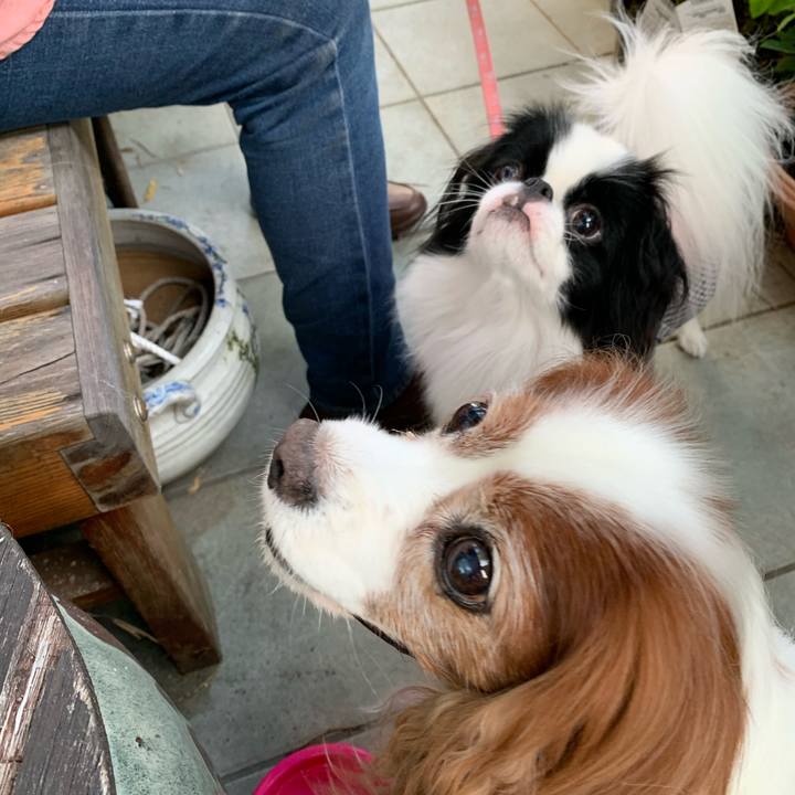 Db0db572 23a1 4b48 ad68 d70f98944906 1571299137456