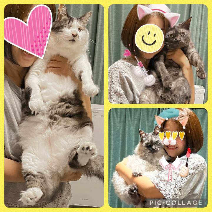 Db0dc88c 5687 4fb8 a782 c4414dbbac94 1720490930322