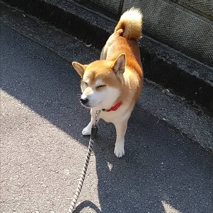 Db0dd629 2941 49e6 ae0a 9a5019ac5fd3 1651564611773