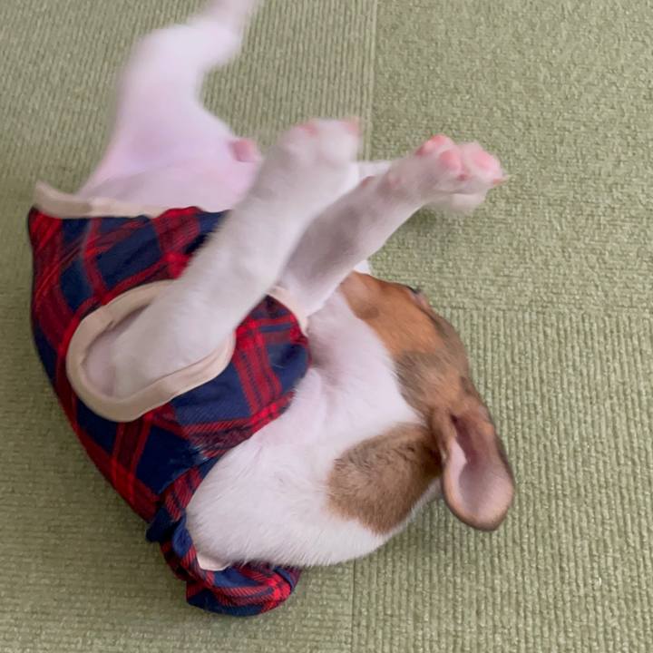 Db0dddda a80c 4b7b a625 3e78044e028d 1666507505481