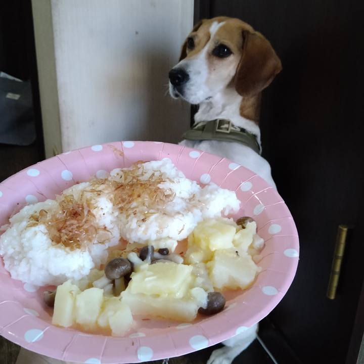 Db0e0dd3 5920 4b47 a124 f4f15b7a72e2 1667359750168