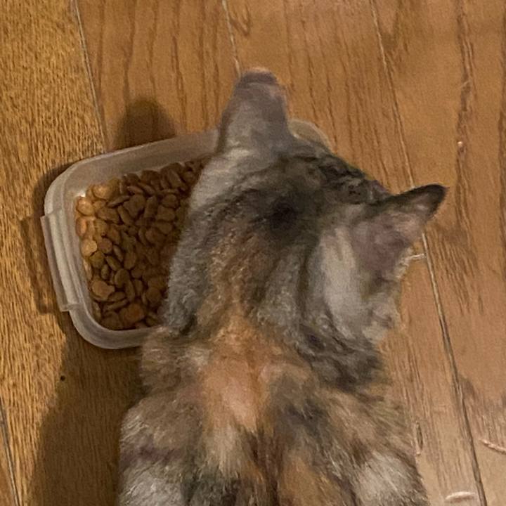 Db0e3596 0399 47b0 abc6 2f43742b8b7f 1610924864683