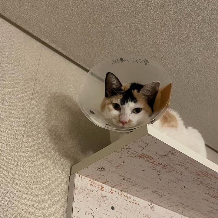 Db0e8d0f 1687 46fd abc1 a9f4d2880ef2 1672327787236