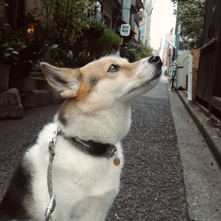 Db0e973e 5dfd 4db1 a75f 2a5bb945492d 1761035900617