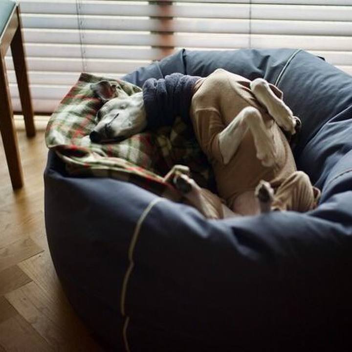 Db0ebbf4 bb3b 4cbc aabb ad1f1d2bc8d7 1510666525776