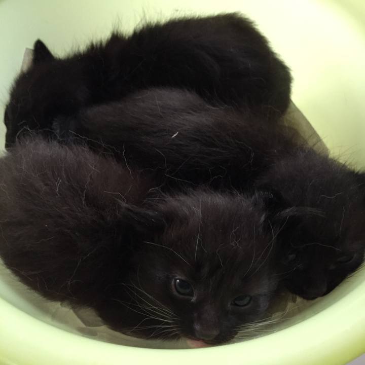 Db0ebc6b 6b38 4542 a51a da5737e4db7b 1524277478460