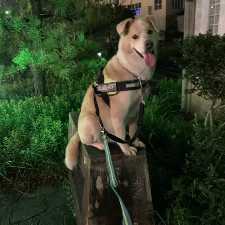 Db0eccec 036e 4b28 9e63 340a827786b1 1599548008935