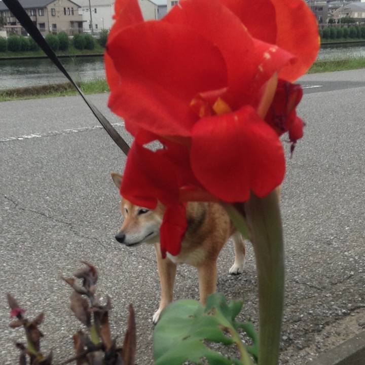 Db0f0cf9 a9e2 4274 93ce 3d51d13b8550 1537430676759