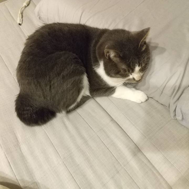 Db0f1e02 99de 4ef6 adf4 08baa72cf0d0 1627224496581