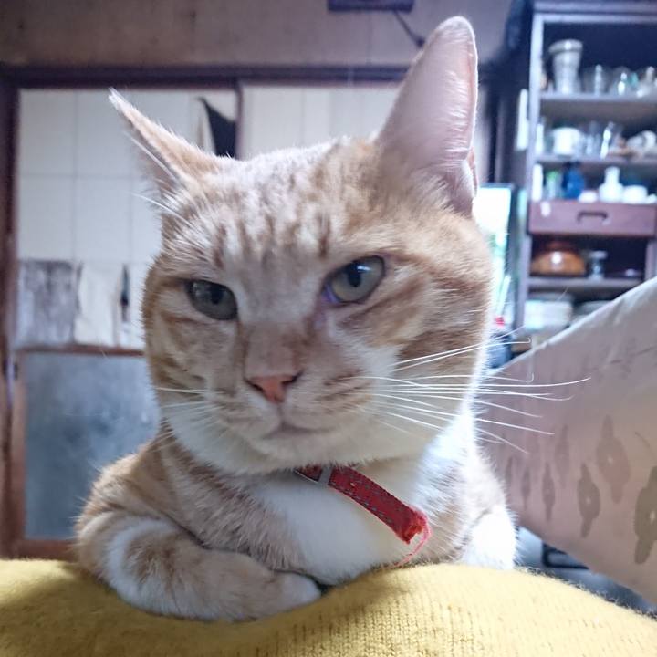 Db0f8835 9aa1 4888 b6f9 d3e423224d91 1573264110720