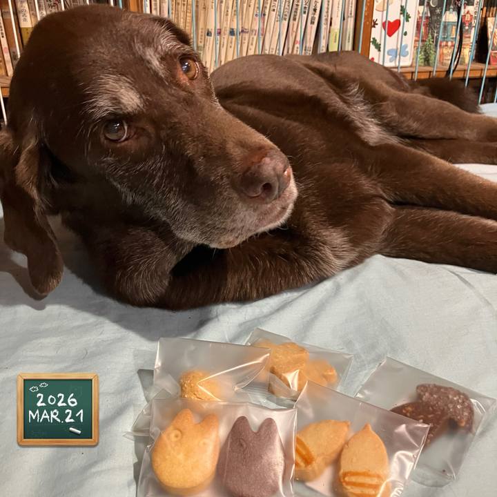 Db0f8fd5 34e3 4cb1 bf52 86723e35b0e1 1774430250467